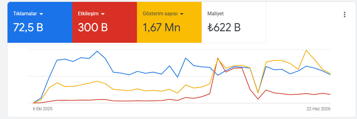 Google Ads performans ekranı
